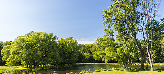 lake